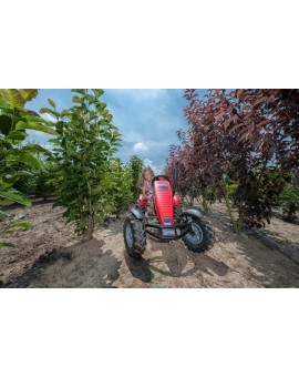 Kart de pedais elétrico BERG Case IH E-BFR